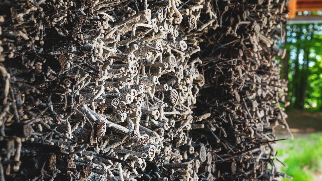 Nahaufnahme der mit Salz benetzten Reisig-Wand  | © Region Graz - Bernd Grosseck