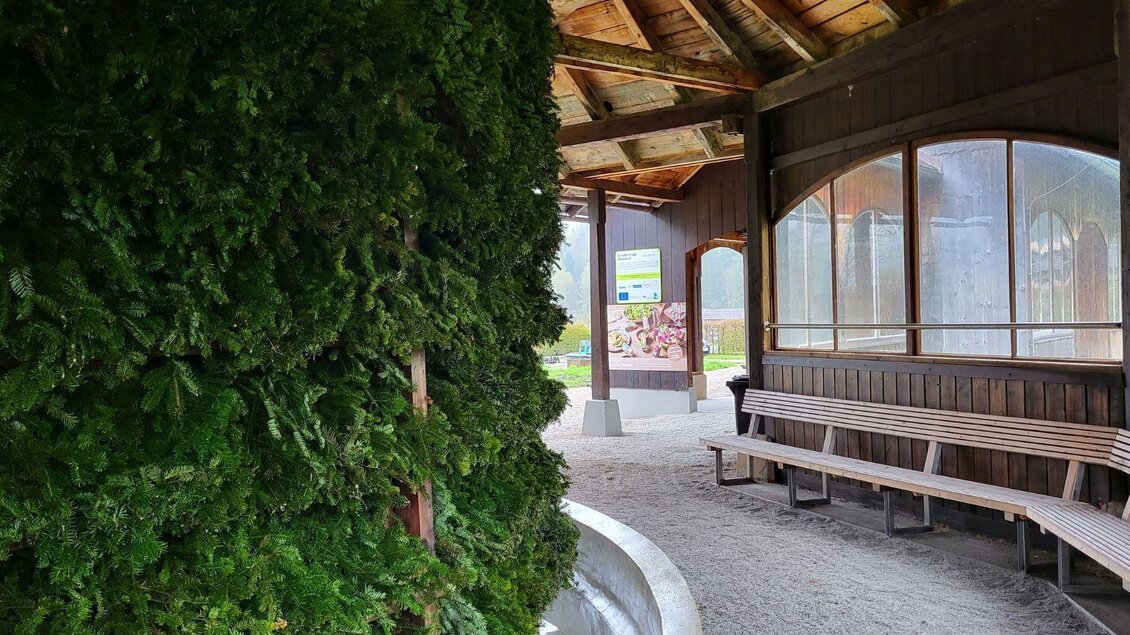 Ein überdachter Bereich mit einer grünen Wand aus Pflanzen und einer Holzbank. Hinter den Fenstern ist ein Blick ins Freie sichtbar. | © Petra Kirchschlager