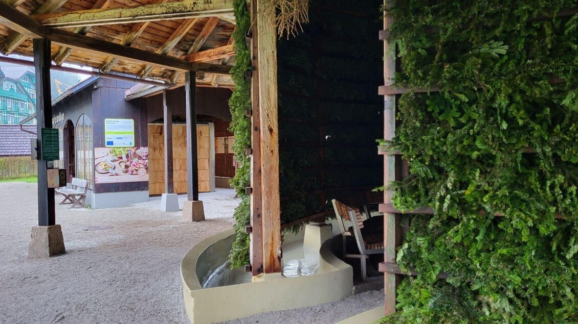 Ein einladender Außenbereich mit einer grünen Pflanzenwand und einem schlichten, modernen Design. Im Hintergrund sind Holzstämme und ein Empfangsraum zu sehen. | © Petra Kirchschlager