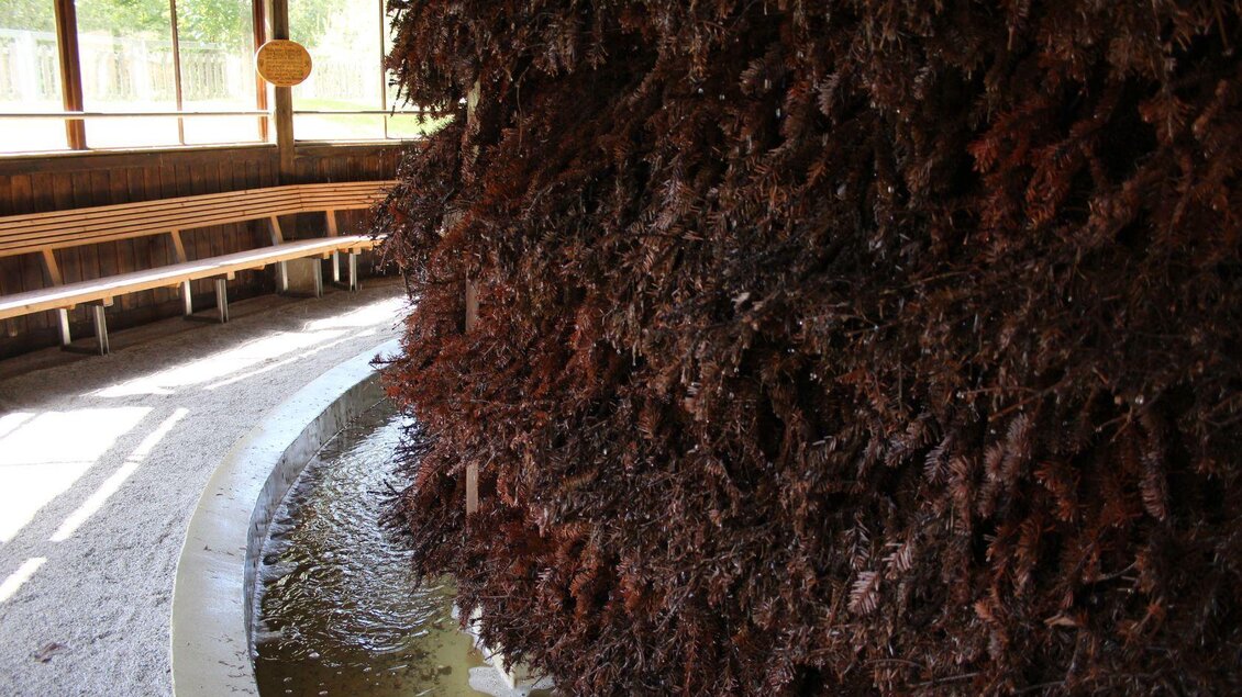 Ein Salzhauchraum mit einer Wand aus getrockneten Kräutern und einem kleinen Wasserbecken. Der Raum ist hell und lädt zur Entspannung ein. | © Viola Lechner