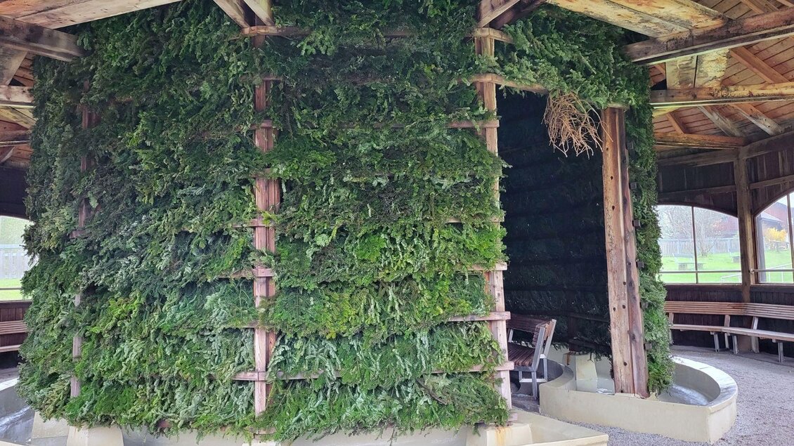 Eine grüne, bewachsene Struktur im Inneren eines offenen Pavillons. Die Wände bestehen aus Pflanzen und bieten eine natürliche, beruhigende Atmosphäre. | © Petra Kirchschlager