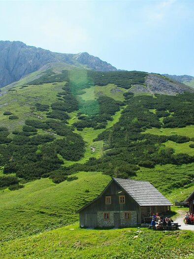 A scenic scene with two farmhouses amidst green meadows. In the background, a majestic mountain rises under a clear sky.