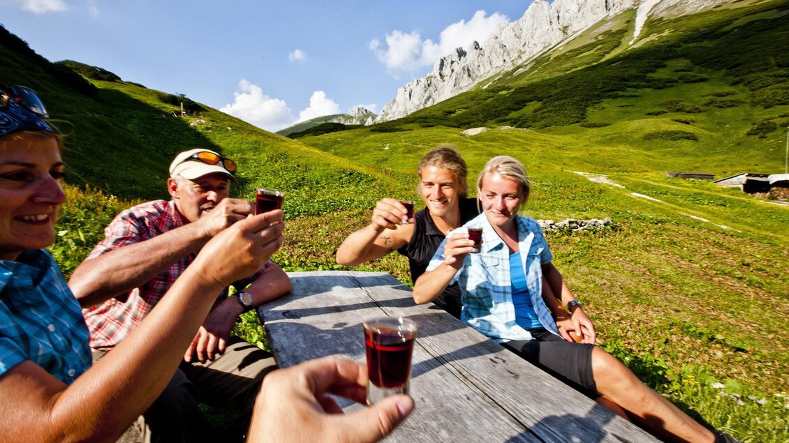 Vier Menschen stoßen fröhlich mit kleinen Gläsern an. Im Hintergrund sieht man eine malerische Berglandschaft und grüne Wiesen.