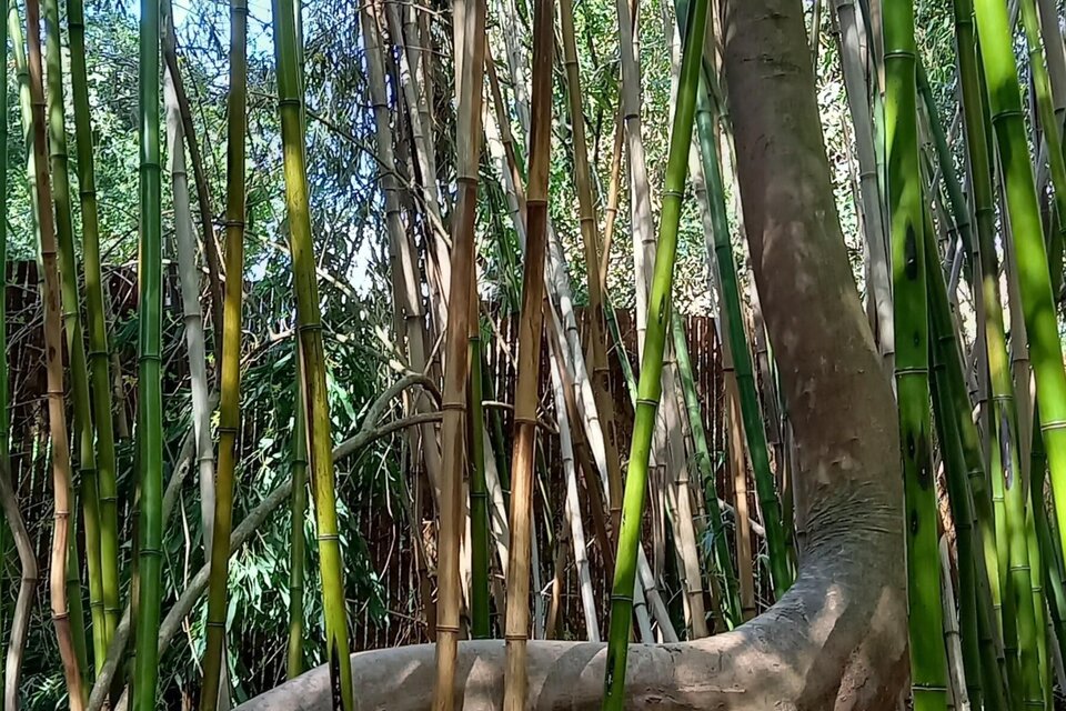 Grazer "Urwald" - Impression #1 | © Graz Tourismus Information