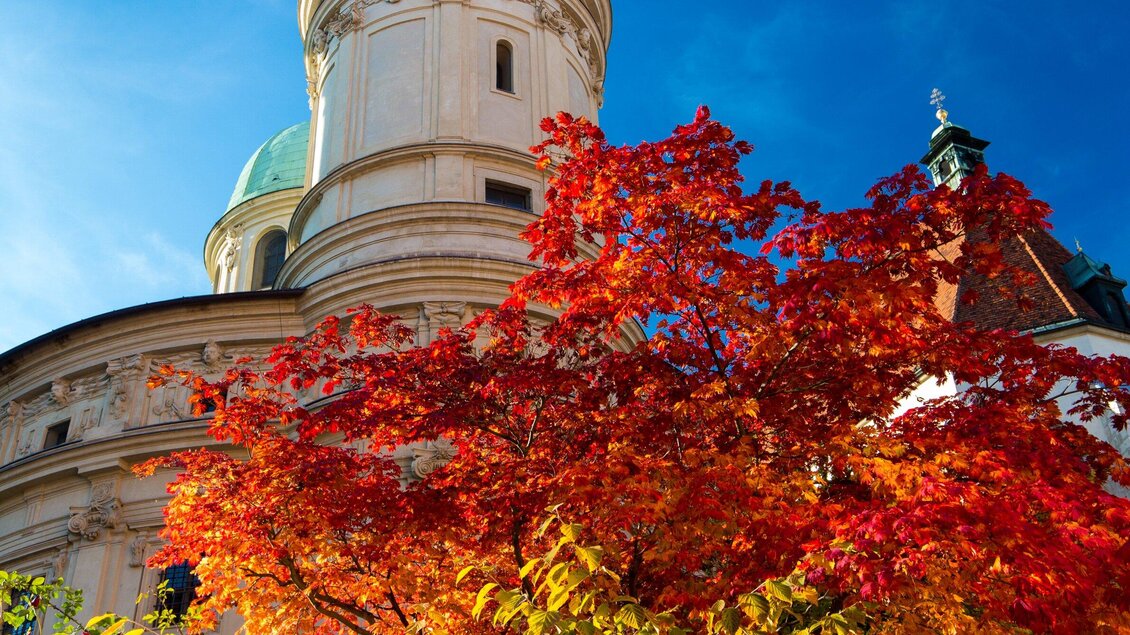 Ein beeindruckendes Gebäude mit einer Kuppel und farbenfrohen Herbstblättern im Vordergrund. Der Himmel ist klar und blau, was die Szene lebendig erscheinen lässt. | © Graz Tourismus - Harry Schiffer