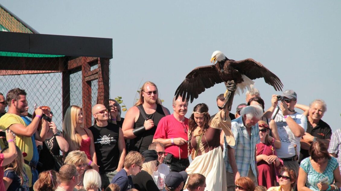 Greifvogelwarte2 | © Greifvogelwarte Riegersburg