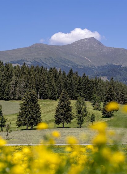 Greim im Frühling | Tom Lamm | © Tourismusverband Murau