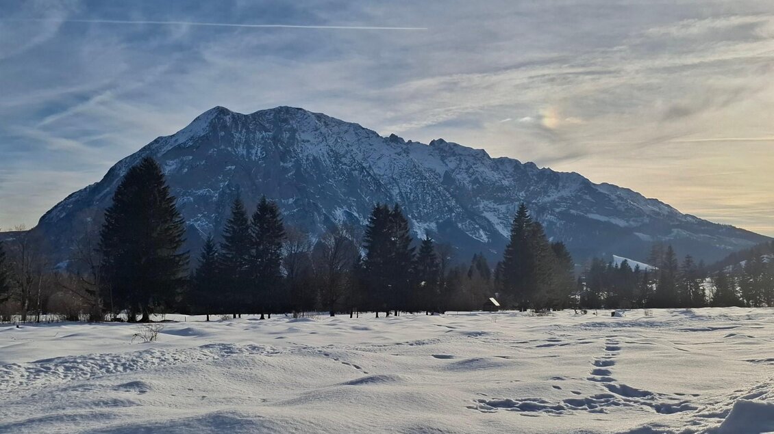 Eine beeindruckende Berglandschaft mit schneebedecktem Boden und Nadelbäumen. Der Himmel ist klar und zeigt sanfte Wolken.