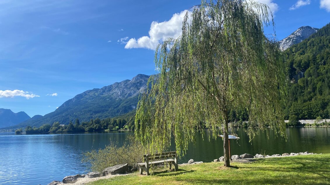 Ein ruhiger See umgeben von Bergen und grünem Ufer. Ein großer Weidenbaum spendet Schatten auf einer Wiese neben einer Bank. | © Bettina Scheck