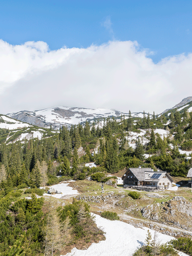 A picturesque mountain landscape with snow-covered peaks and green forests. In between the mountains stands a charming cabin.