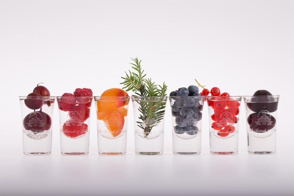 Hödl Hof GmbH - Impression #1 | © Hödl Hof