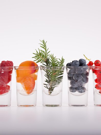 Hödlhof_Früchte_Oststeiermark | © Hödl Hof