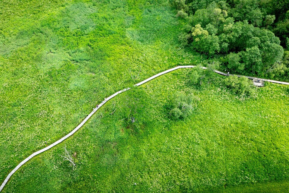 Hörfeld Moor - Impression #1 | © Tourismusverband Murau