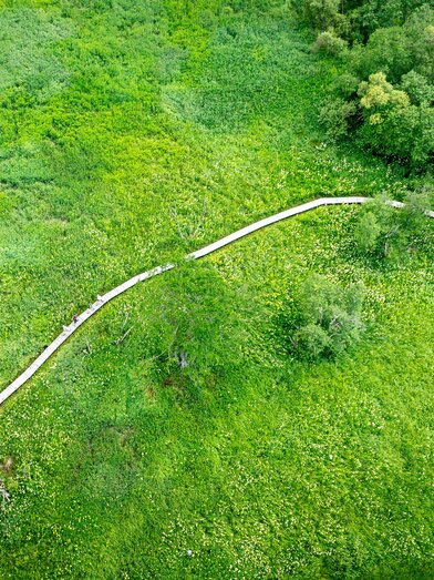 Naturjuwel Hörfeld-Moor | Tom Lamm | © Tourismusverband Murau