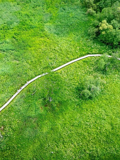 Naturjuwel Hörfeld-Moor | © Tourismusverband Murau