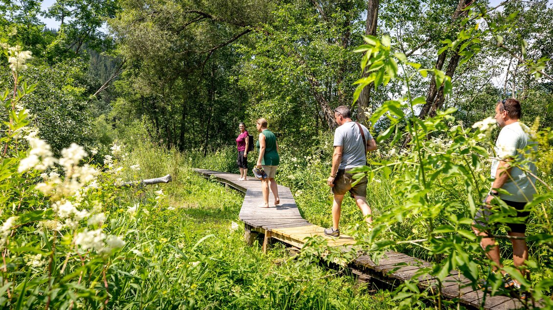 Hörfeld-Moor, Stege | © Tourismusverband Murau