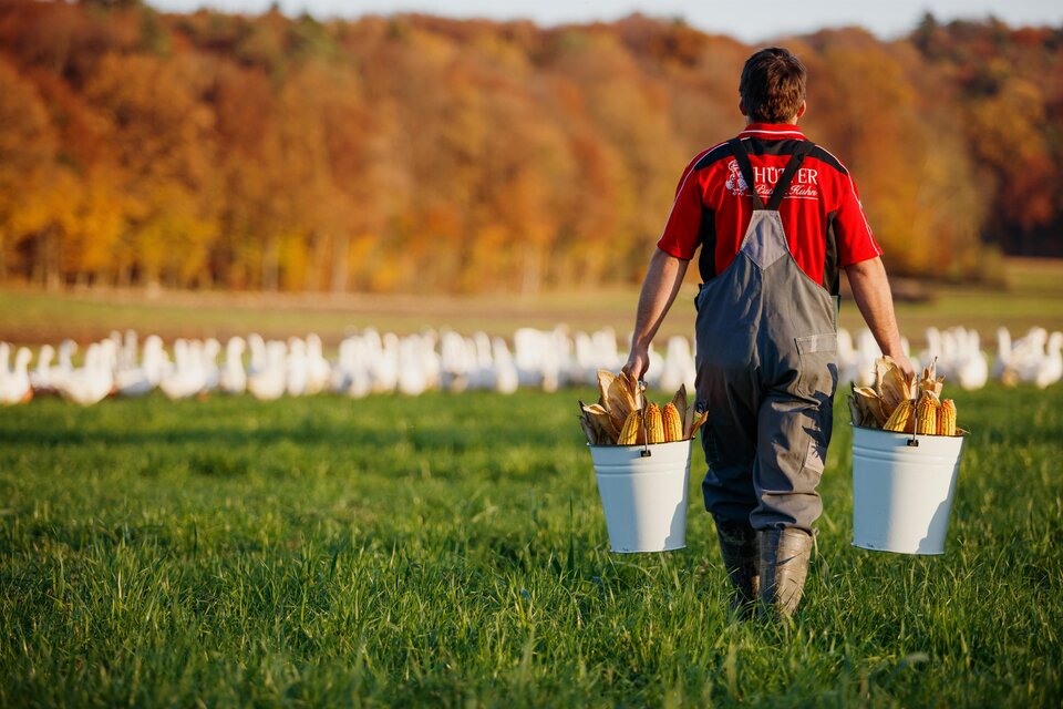 Hütter Pute & Huhn in Krusdorf - Impression #1 | © Hütter Pute & Huhn
