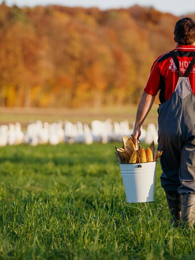 Hütter's glückliche Tiere auf der Weide | © Hütter Pute & Huhn
