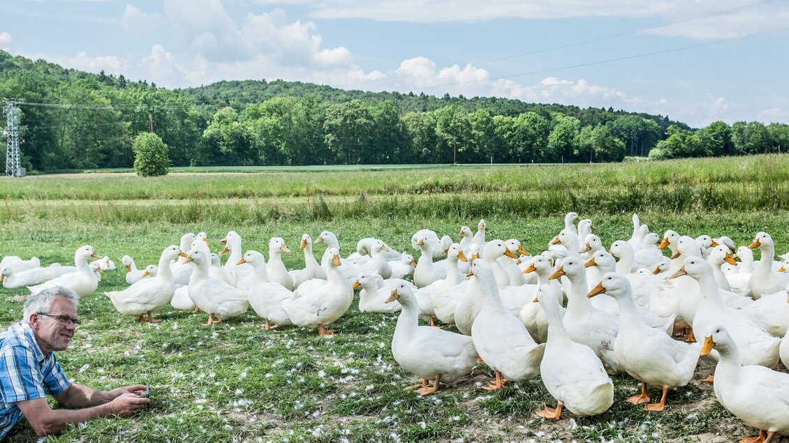 Tiere unterwegs in der Natur | © Familie Hütter