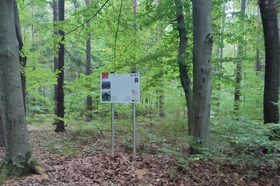 HWW station Steinpeißwald - Impression #1 | © Historischer Verein Wechselland - Dr. Andreas Salmhofer