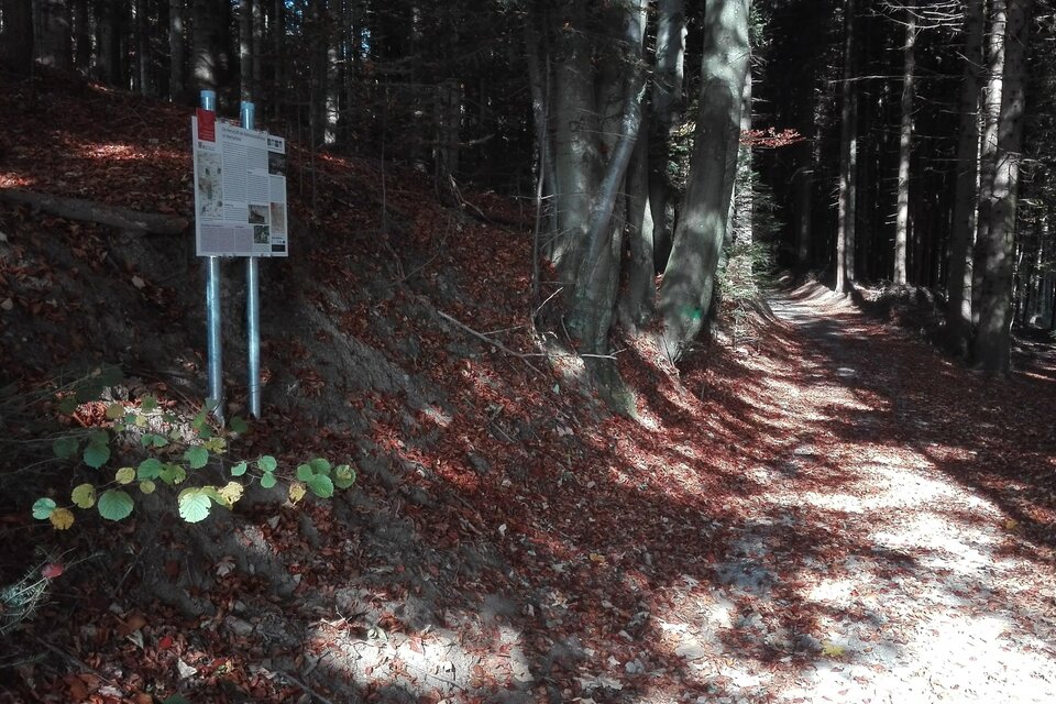HWW station: tunnel path - Impression #1 | © Historischer Verein Wechselland - Dr. Andreas Salmhofer