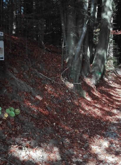 HWW station: tunnel path | © Historischer Verein Wechselland - Dr. Andreas Salmhofer
