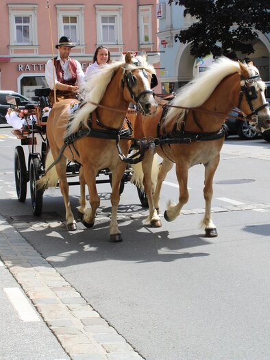 Kutsche-Jdbg-Murtal-Steiermark | © Katschnig