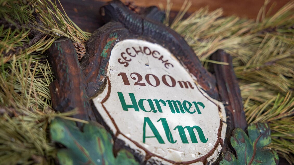 Harmeralm | © Netzwerk Kulinarik wildbild