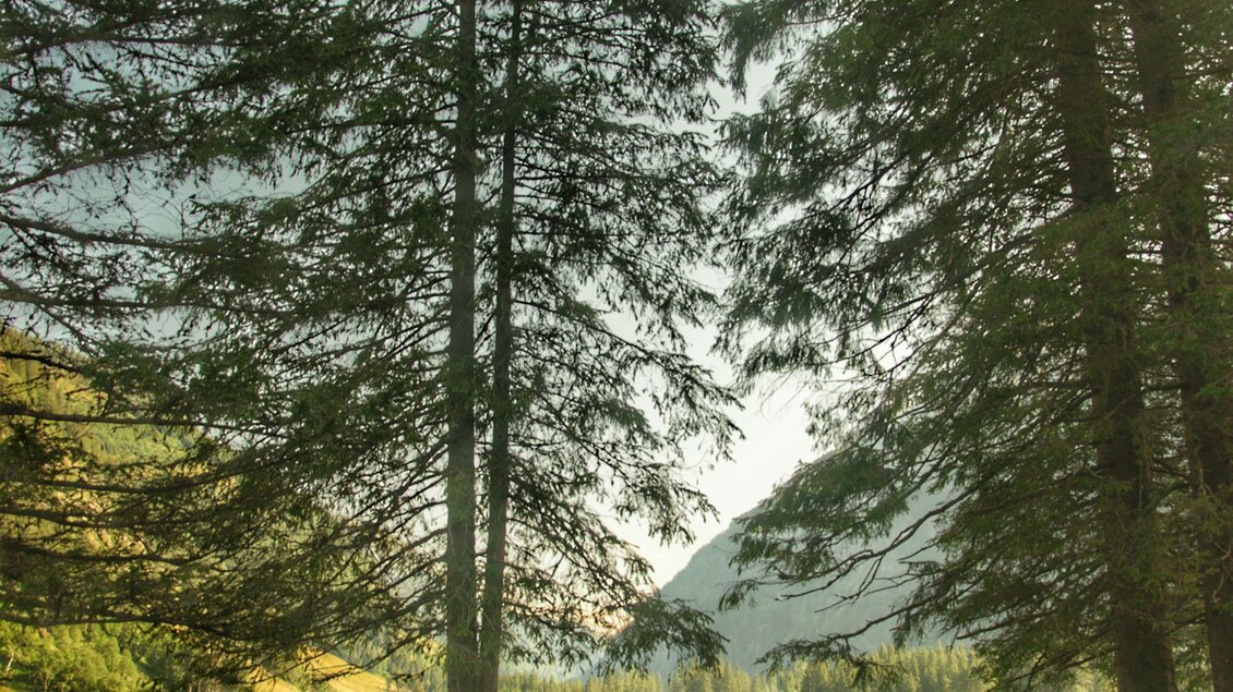 Schwarzensee, Kleinsölk | © Marlene Eggmayr