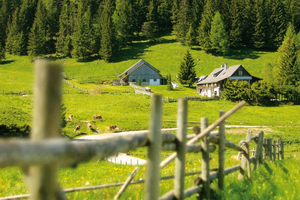 Harrer Hut - Impression #1 | © Sennerei Leitner