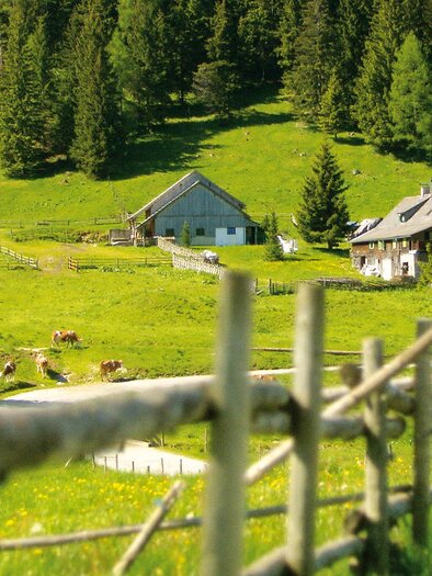 Harrer Hut_Eastern Styria | © Sennerei Leitner