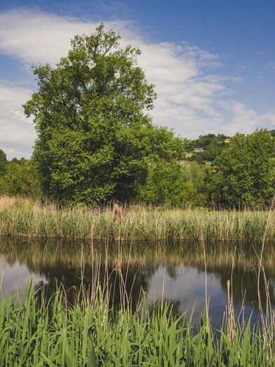 Hartberg Gmoos_Lake_Eastern Styria | Bernhard Bergmann | © Tourismusverband Oststeiermark