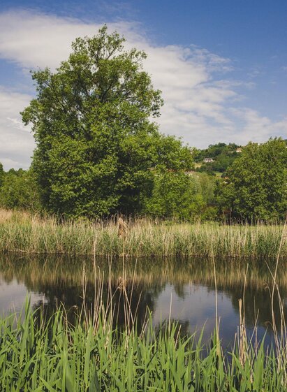Hartberg Gmoos_Lake_Eastern Styria | Bernhard Bergmann | © Tourismusverband Oststeiermark