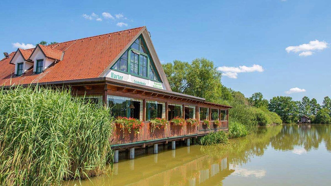 Harter Teichschenke_Am Wasser_Oststeiermark | © Familie Wurzer