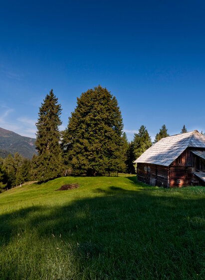 Haslerhube | Tom Lamm | © Holzwelt Murau