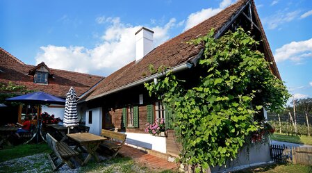 House of the apple_house view_Eastern Styria | © Tourismusverband Oststeiermark | Chris Strassegger | © Tourismusverband Oststeiermark