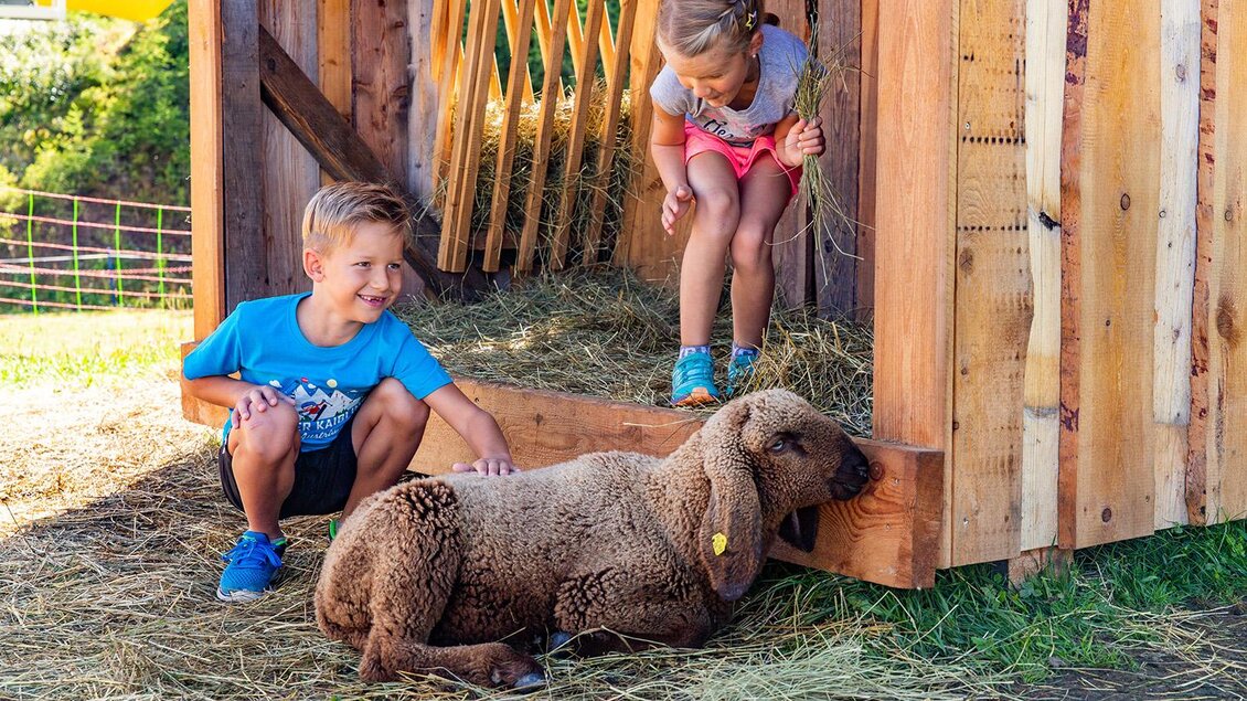 Zwei Kinder spielen auf einem Bauernhof. Ein Schaf liegt entspannt in der Nähe des Holzhauses. | © Hauser Kaibling@René Eduard Perhab