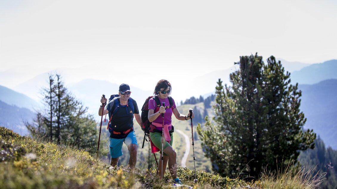 Zwei Wanderer gehen einen malerischen Bergweg entlang. Die Landschaft ist grün mit Bergen im Hintergrund und einem klaren Himmel. | © Tourismusverband Murau
