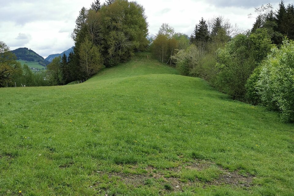 Heidenhügel - Impression #1 | © Landentwicklung Steiermark