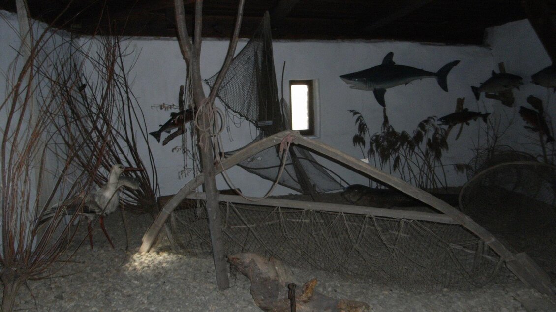 Ein Raum mit verschiedenen Fischernetzen und künstlerischen Darstellungen von Fischen an der Wand. Der Boden ist mit Kieselsteinen bedeckt, und es gibt einige Zweige und einen Storch aus Holz. | © Stadtgemeinde Feldbach