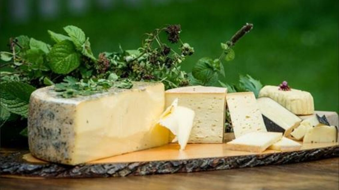 Eine Auswahl von verschiedenen Käsesorten auf einem Holzbrett, umgeben von frischen Kräutern. Die Käsestücke sind appetitlich und gut dekoriert. | © Heimatgold