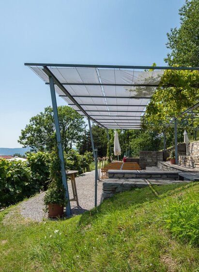 Vineyard_Pöllauberg_Eastern Styria | © Helmut Schweighofer