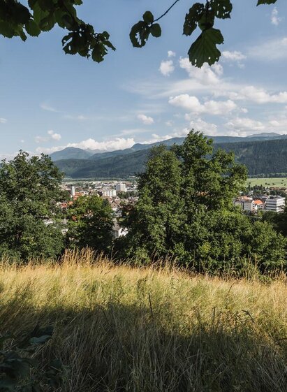 Bezirkshauptstadt Liezen | Thomas Sattler | © Thomas Sattler