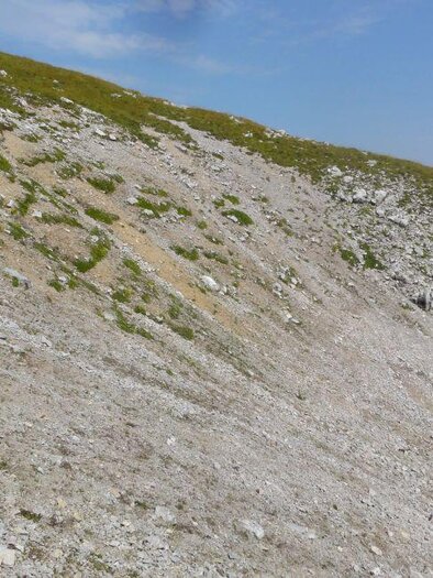 Die Heukuppe | © M. Ressel