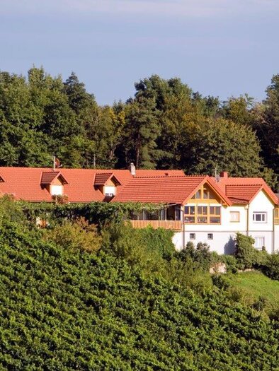 Blick zum Rosenbergl | © Heuriger Rosenbergl