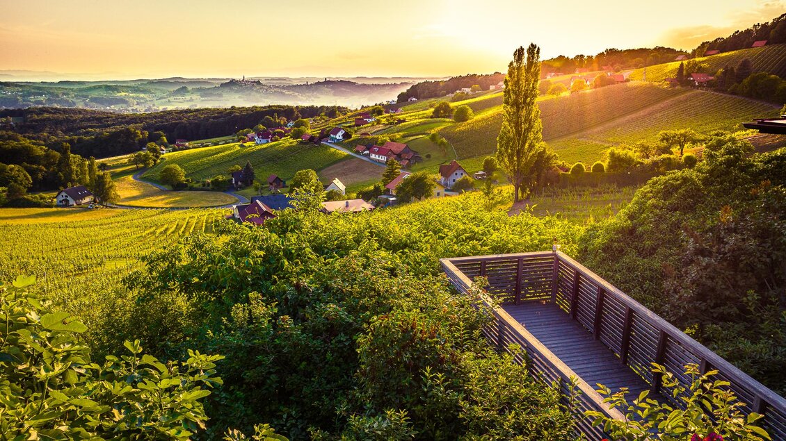 Heuriger Rosenbergl Familie Kirwasser in Straden - Impressionen #2.2