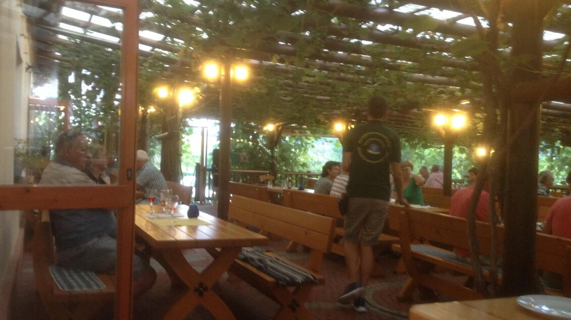 Laube der Heurigen Schenke Wolf | © Heurigenschenke Wolf