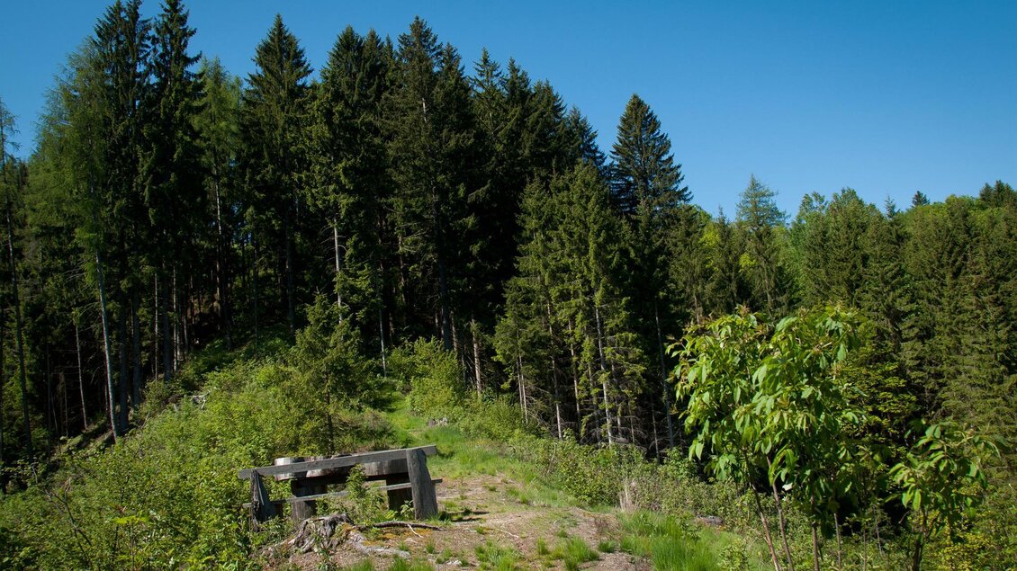 Hexenpfad-Rachau5-Murtal-Steiermark | © Erlebnisregion Murtal