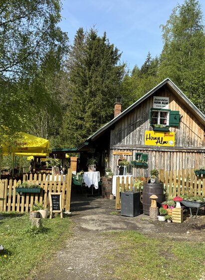 Hirnalm 1 | Bleyer | © Bleyer