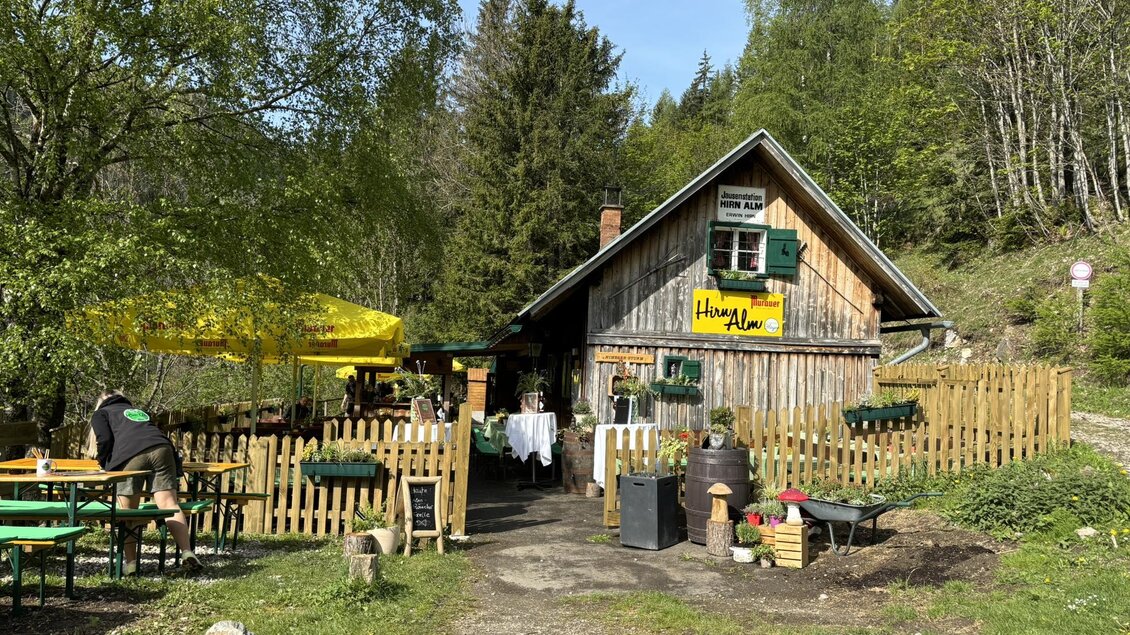 Hirnalm 1 | © Bleyer